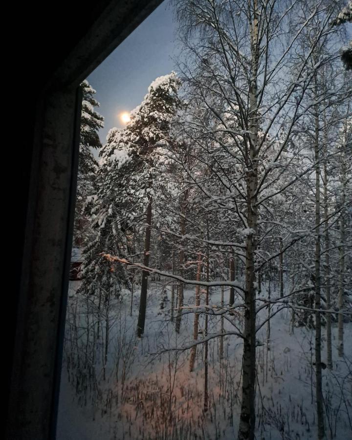 Room In Polar Circle Рованіемі Екстер'єр фото